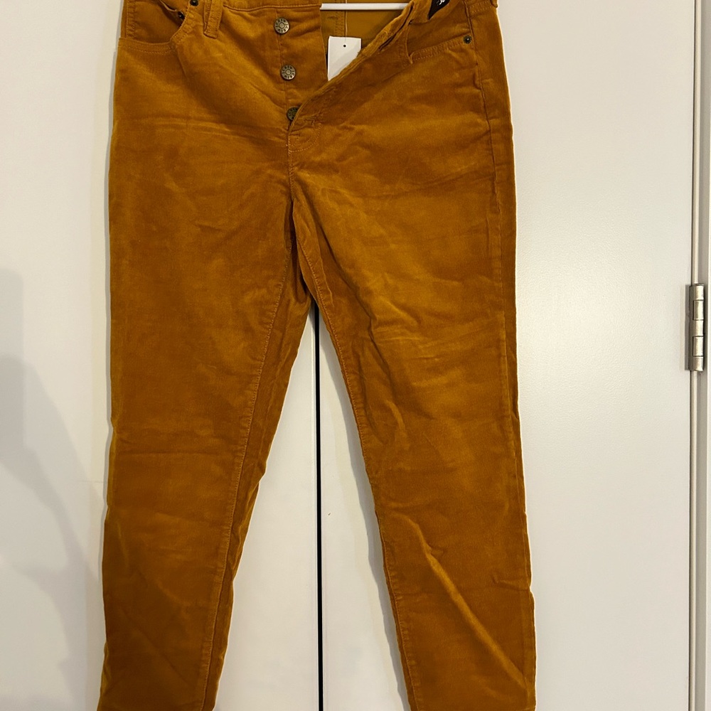 High-Waisted J.Crew Velvet pants